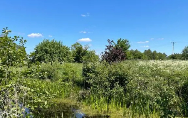 Winne Wzgórze