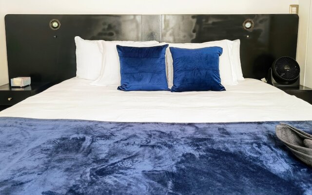 Renovated Aparment Avenida Amsterdam