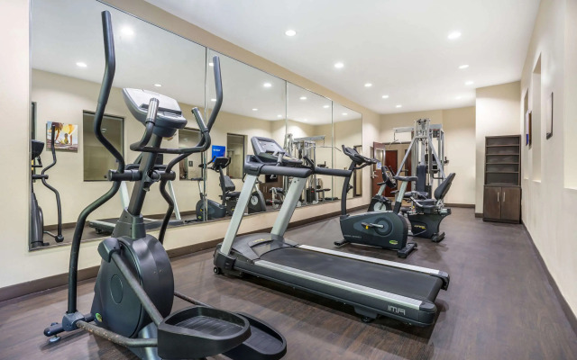 Comfort Suites Old Town Spring