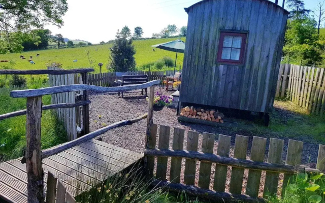 Eco Accommodation Cornflower Holiday