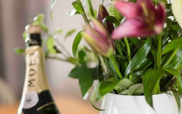 Simmy Taggart Islands