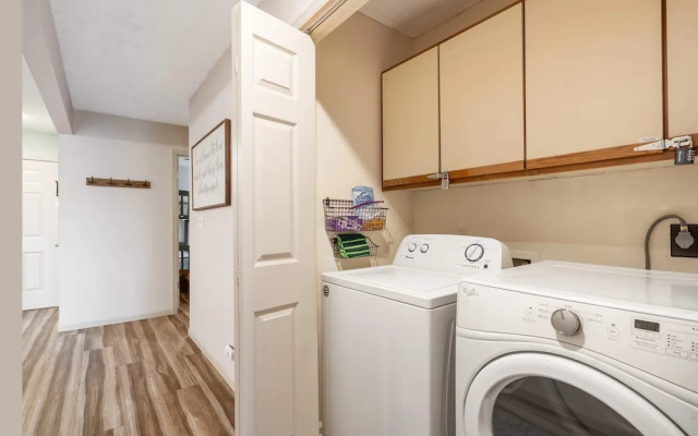 Mossy Pines of the Ozarks