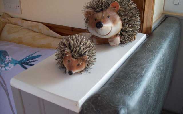 Waterloo Farm Shepherds Hut Glamping