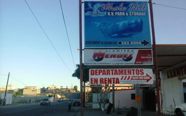 Whale Hill