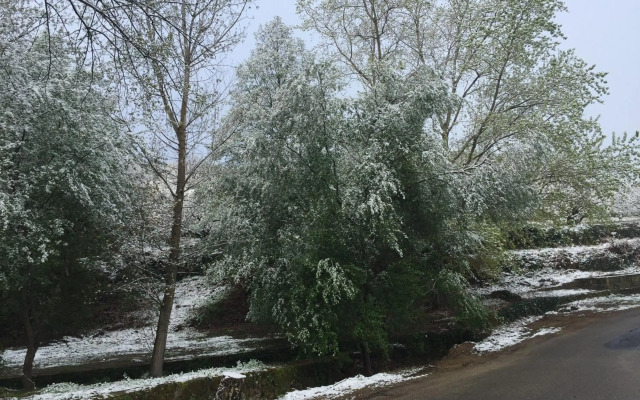El Capricho del Jerte