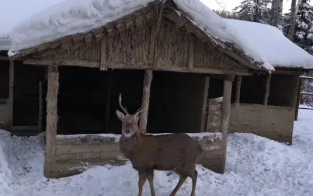 Xuegu Azalea Homestay