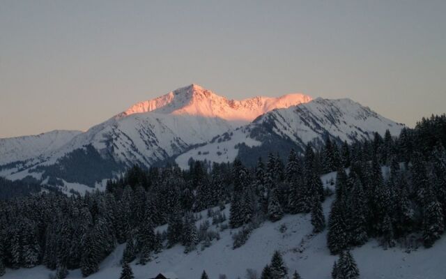 Paradise View Chalet