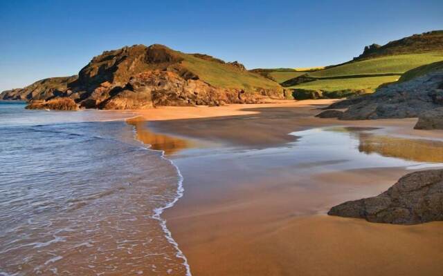 Cove View