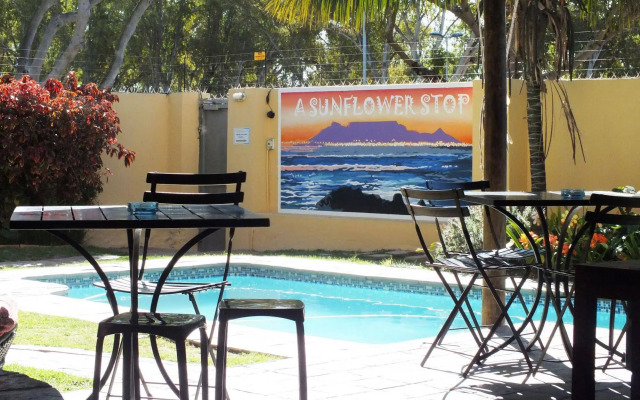 A Sunflower Stop - Hostel