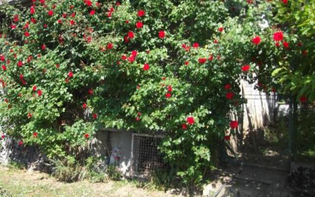 La Ferme Entre Deux Lacs