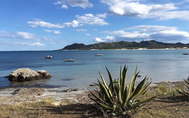 Cavalli di S'Arcaite