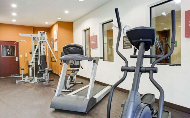 Comfort Suites Old Town Spring