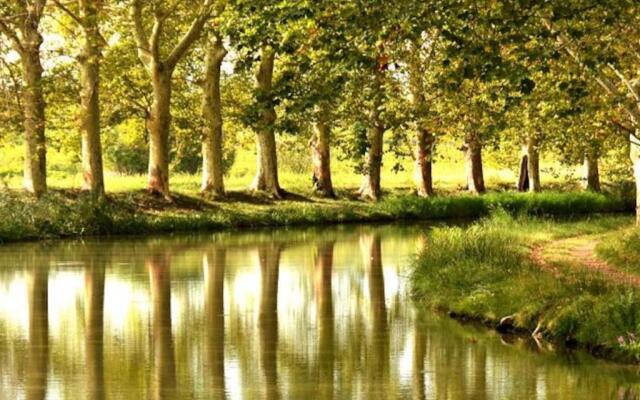 MAS DES VIGNES - View Cité de Carcassonne