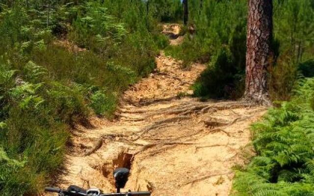 Le Parc - Suite climatisée