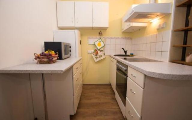 Convenient Central Apartment