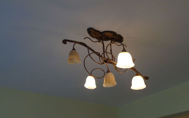 Mouses-X