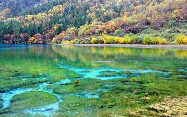 Traveler's Hostel Jiuzhaigou