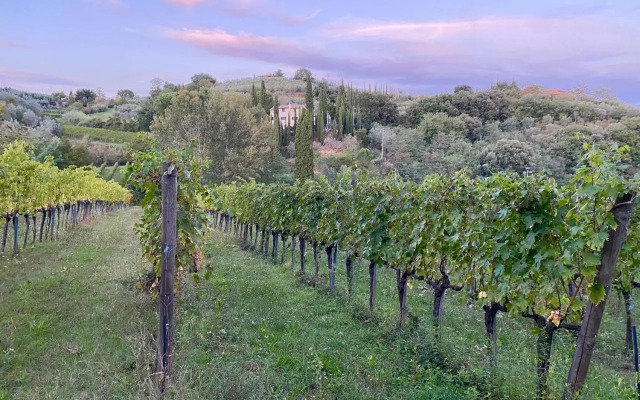 Villa Sogni D'Oro Etruscan Suite