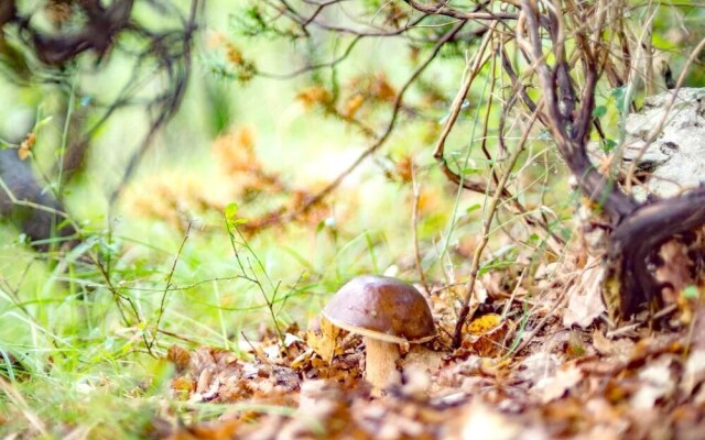 House With 2 Bedrooms in Cingoli, With Wifi