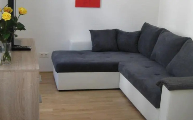 Apartment Erlachgasse