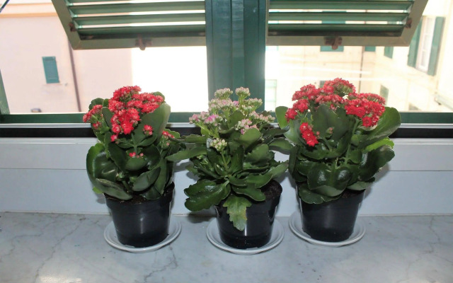 Gabry apartment center and sea