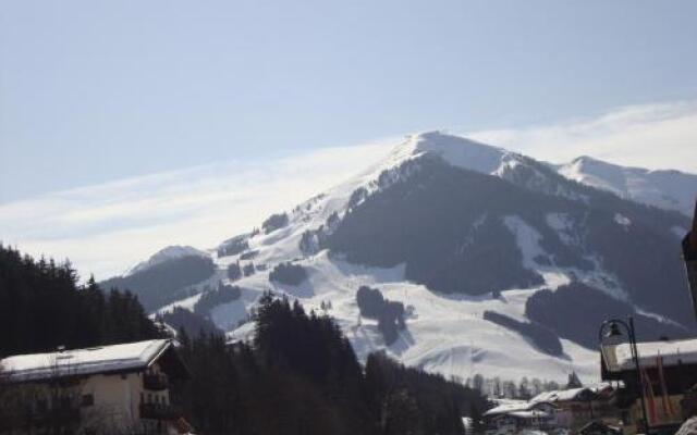 Alpenappartement Bartl