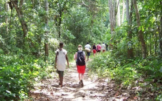 Nalesutale Village Lodges