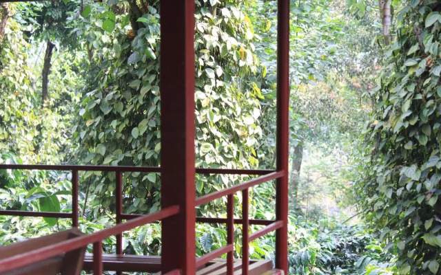 Heights Farm Stay - Coffee Estate Stay