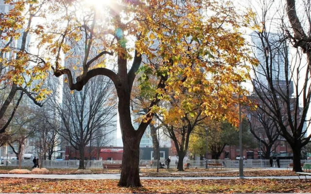 The Clarence Park - Hostel