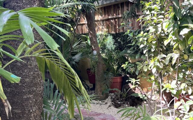 Tumben Kuxtal Tulum