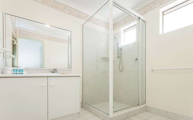 Banksia at Middleton