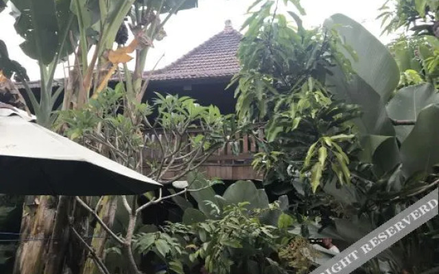 Ningmas Guesthouse II