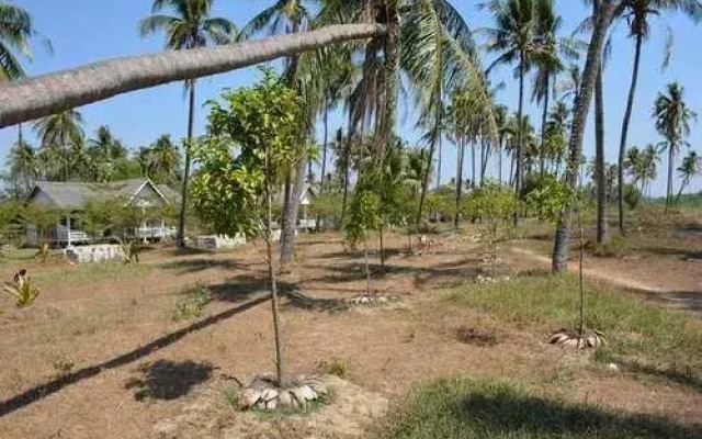 Orchid Adventure Shore Resort