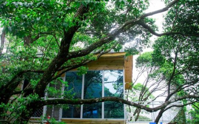 Yinxin'gu Treehouse Hotel