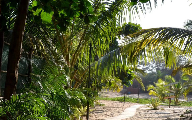 Little India Beach Cottages