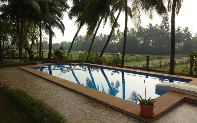 Palm Shades Spring
