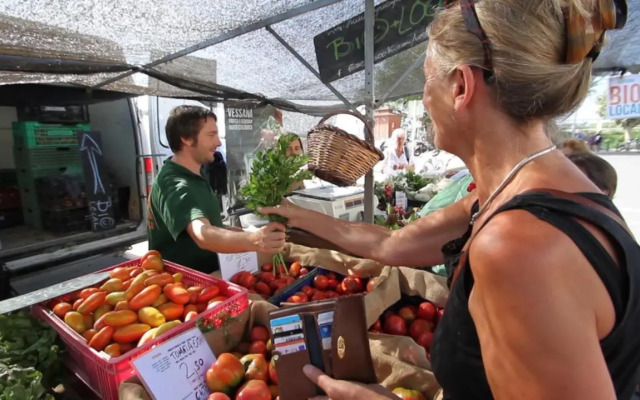 BASIC COMFORT Studio Albatros 12