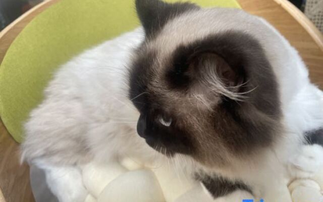 Seaview Forest Life·Aerobic (Shengsi Nanchangtu Beach Branch)