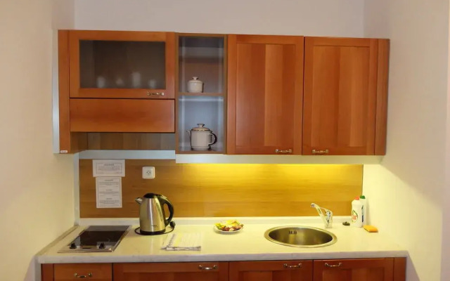 Apartment Náprstkova