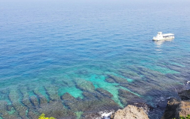 Little Ryukyu Hermit Crab Homestay