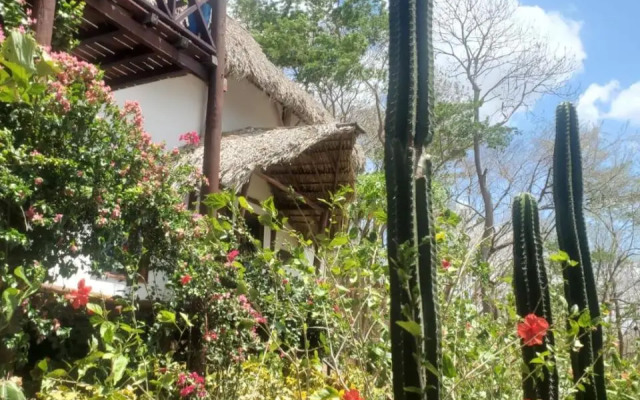 Tuani Lodge