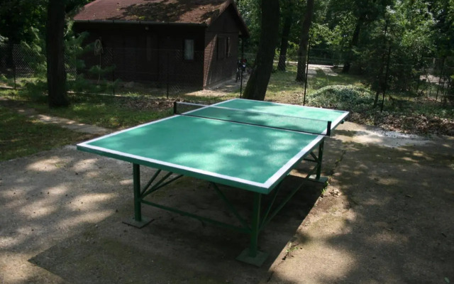 Tölgyfa Panzió