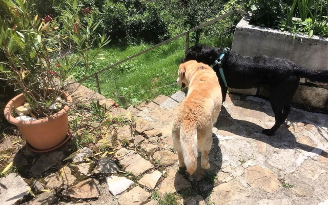 Ruine Gartenresidenz