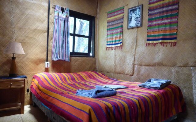 La Iguana Perdida - Hostel