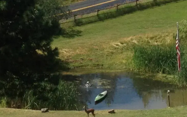 CdA Ranch - Villa d Amoore - Guest House