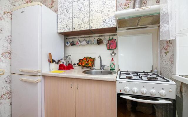 Comfortable apartments on Hrushevskogo street near 16 city hospital