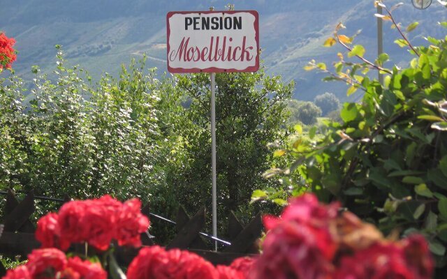 Pension und Weingut Moselblick
