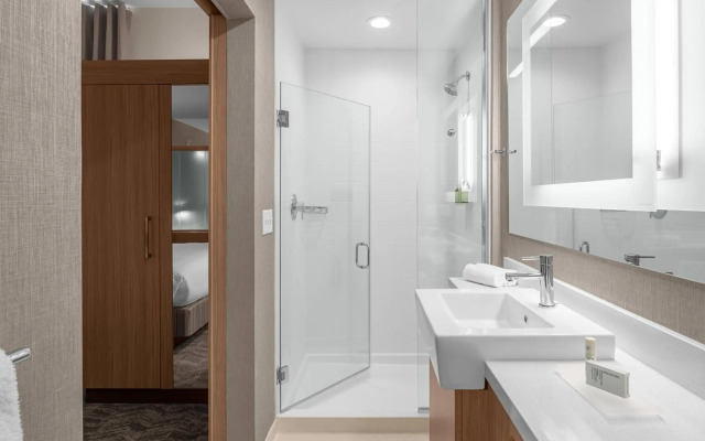 SpringHill Suites by Marriott Jackson
