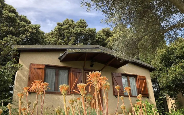 La Cerca Del Alcornoque