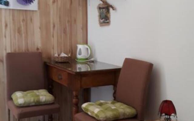 Studio Apartment Greis